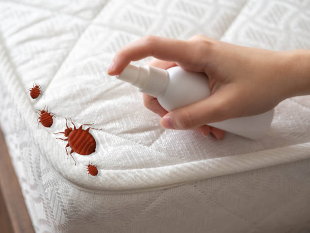 Best Commercial Pest Control Services  in Irwindale, CA